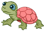 Turte Puzzle With Answer