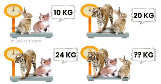 Rabbit, Cat and Tiger Puzzle answer