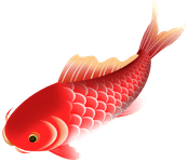 How many red fishes must be removed puzzle answer